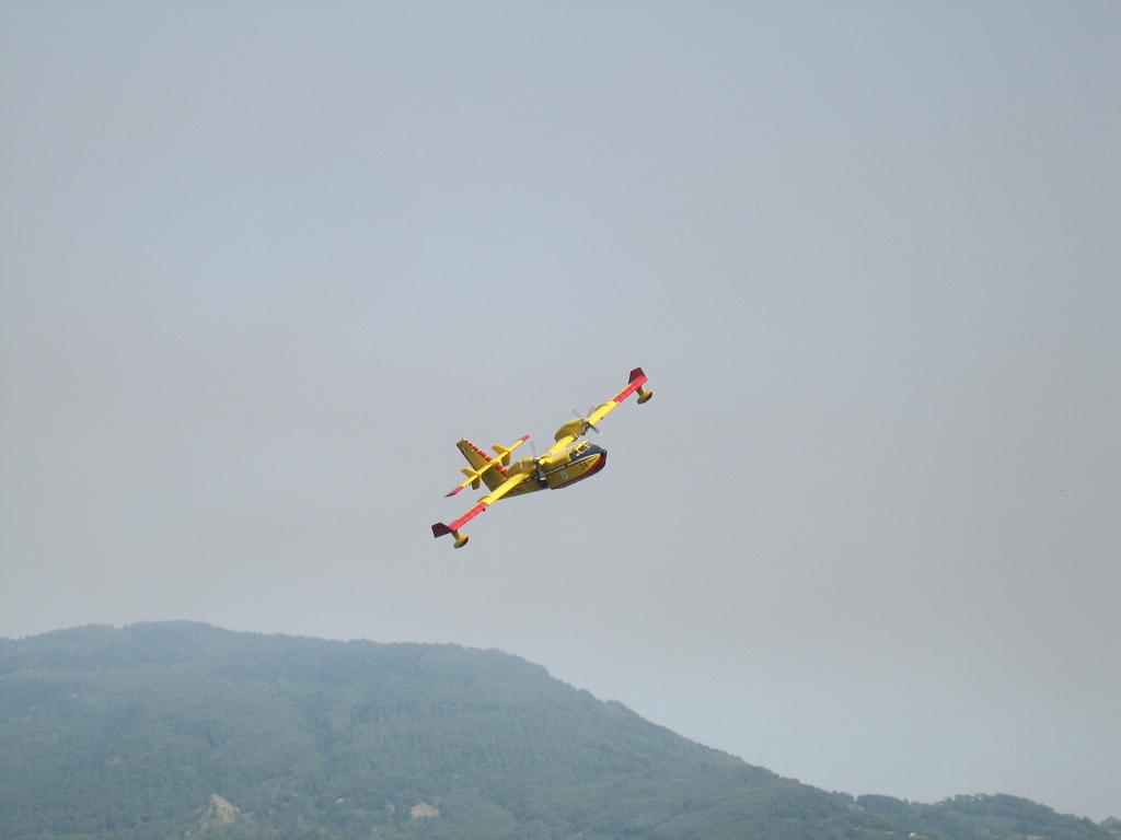 incendio aiello-lago 21 luglio 7.JPG